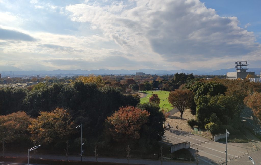 グリーンスプリングス屋上から見える昭和記念公園の紅葉